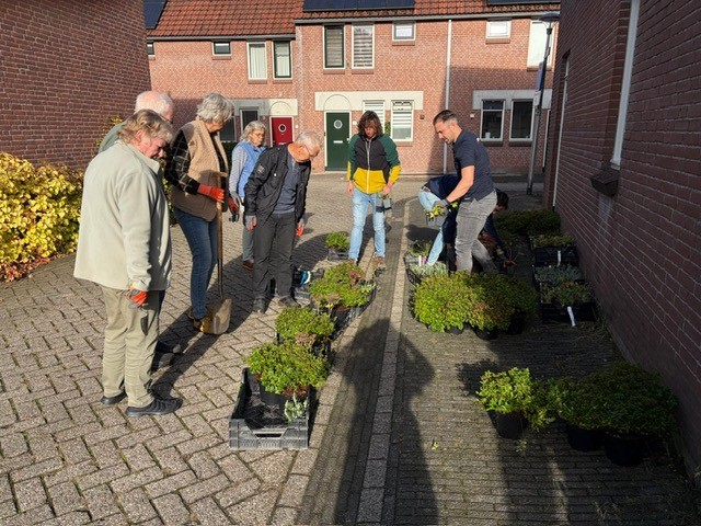 Planten Uitdelen